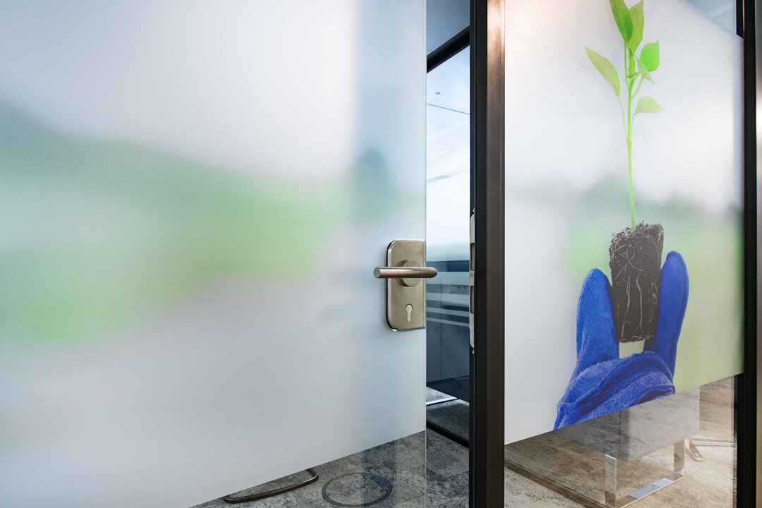 img_de_helena_19 img_de_helena_19