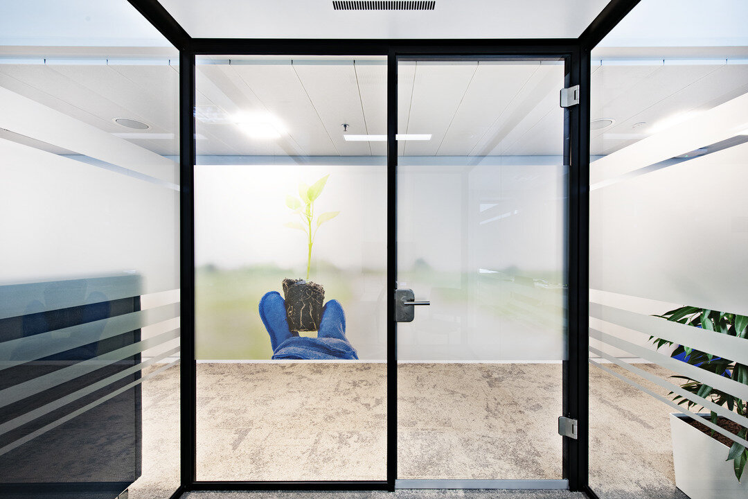 img_de_helena_3 img_de_helena_3