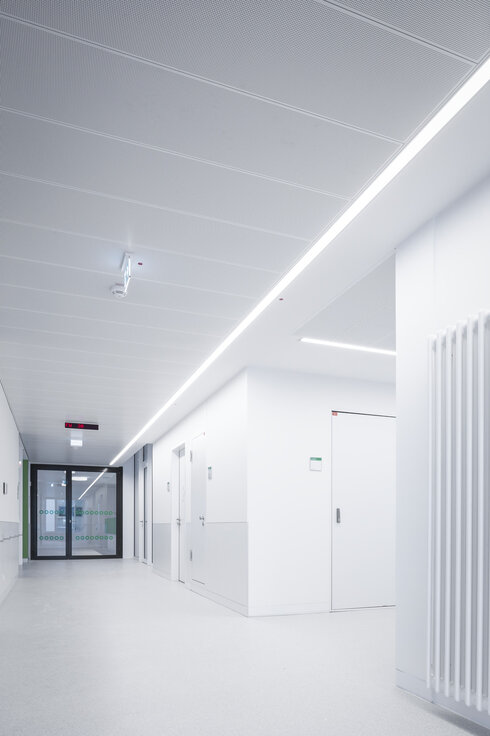 img_de_elkiz_3 img_de_elkiz_3