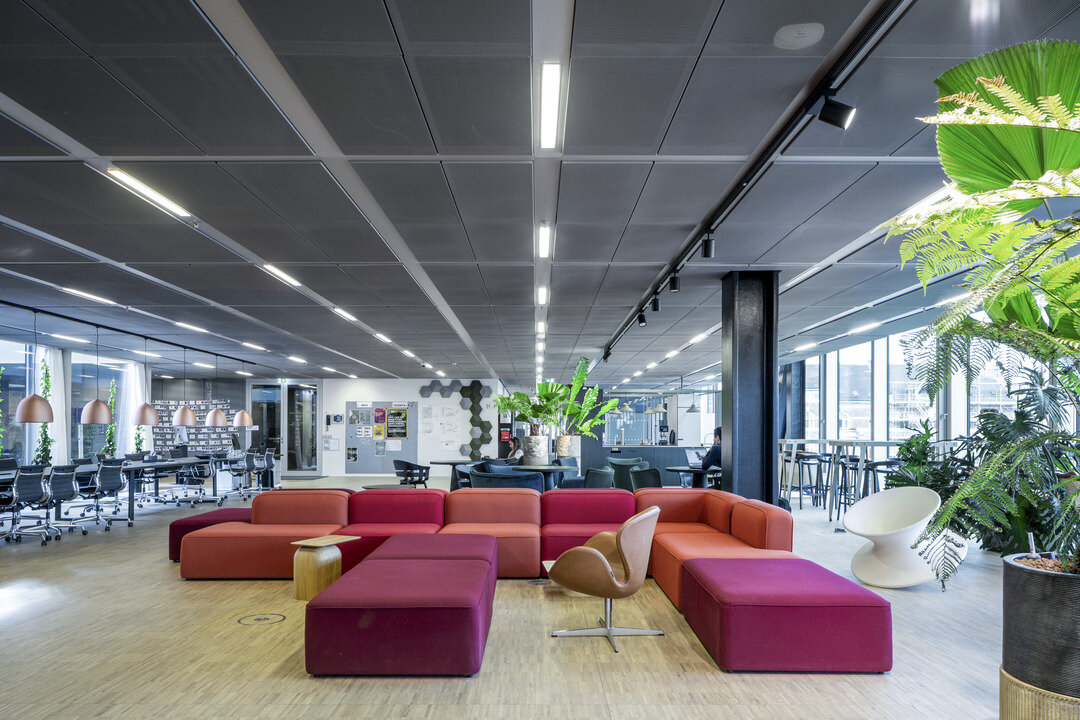 img_dk_blox_8 img_dk_blox_8