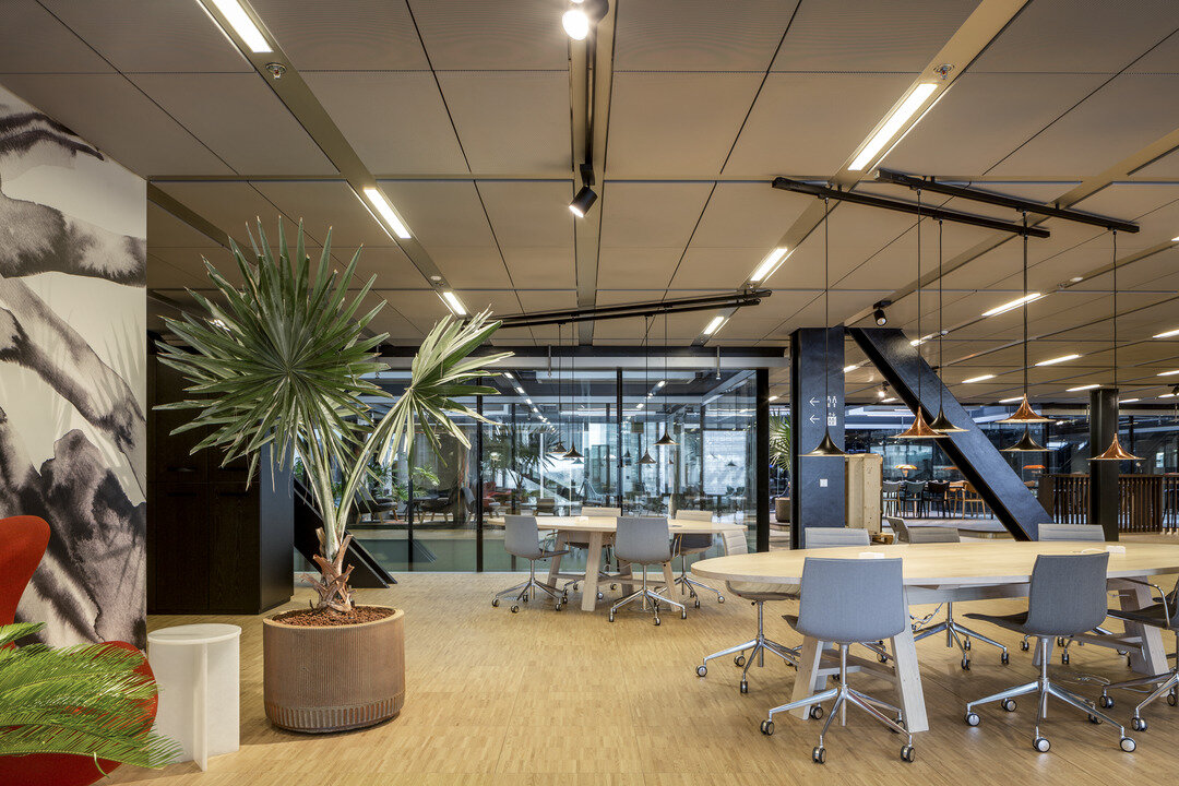 img_dk_blox_20 img_dk_blox_20