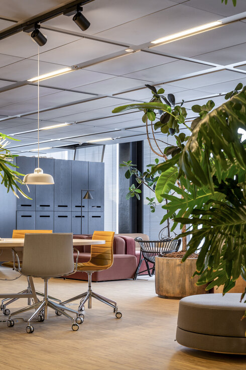 img_dk_blox_25 img_dk_blox_25