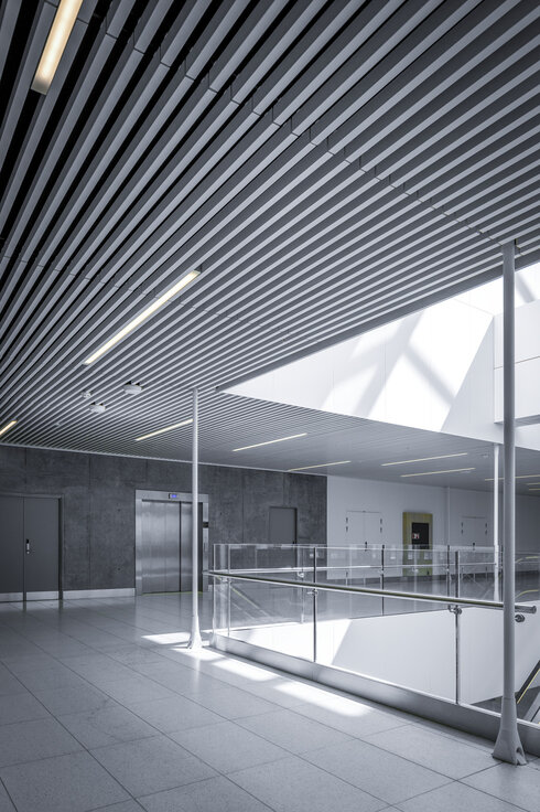 img_dk_fngr_e_20 img_dk_fngr_e_20