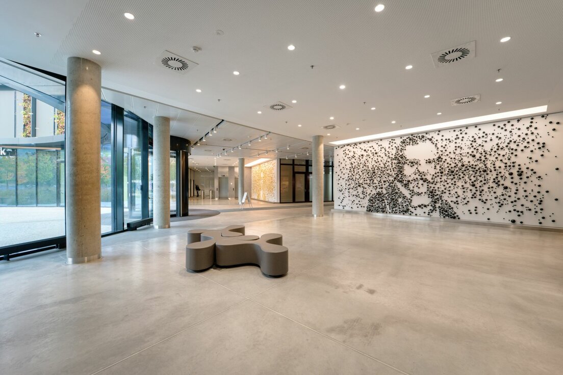 img_cze_afi_butterfly_1 img_cze_afi_butterfly_1