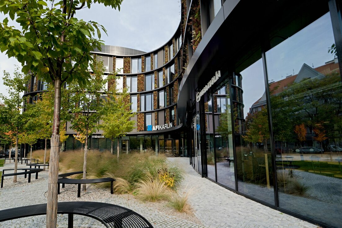 img_cze_afi_butterfly_7 img_cze_afi_butterfly_7