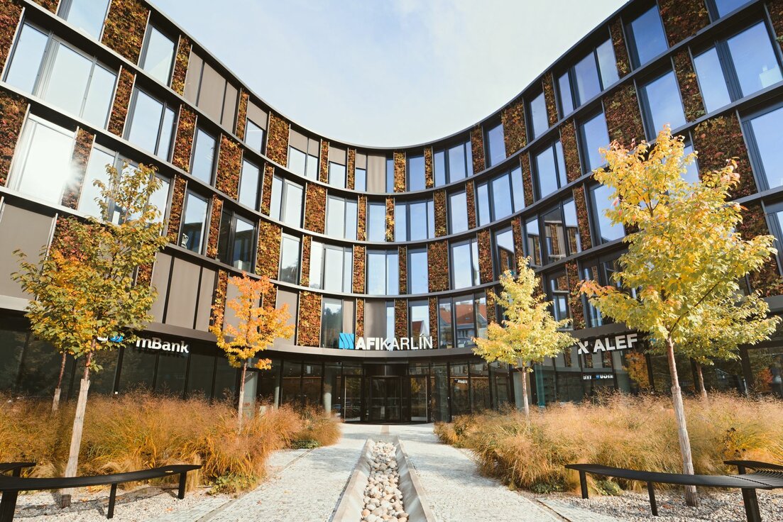 img_cze_afi_butterfly_12 img_cze_afi_butterfly_12