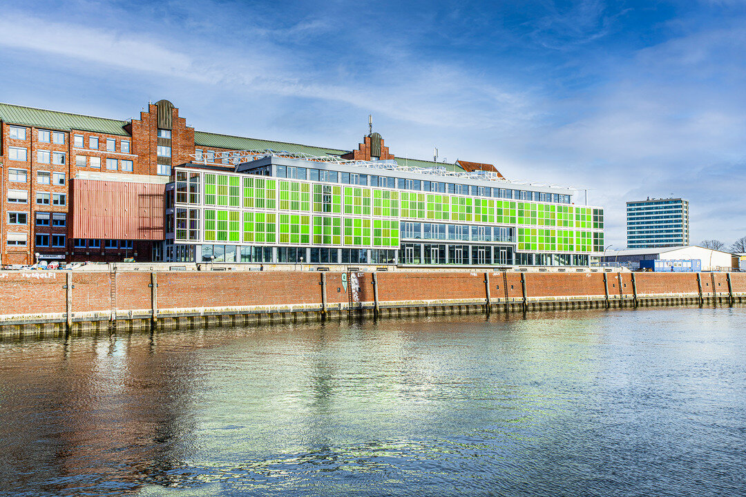 img_de_hammerbrooklyn_25 img_de_hammerbrooklyn_25