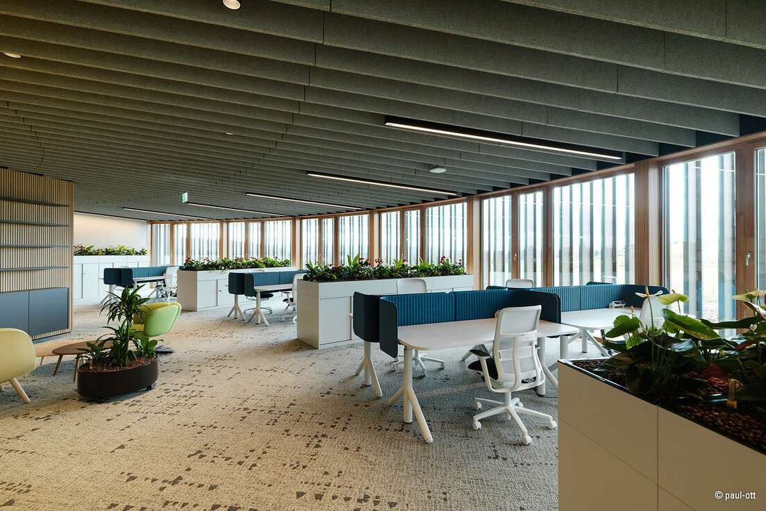 img_AT_MAM 7051_06 img_AT_MAM 7051_06