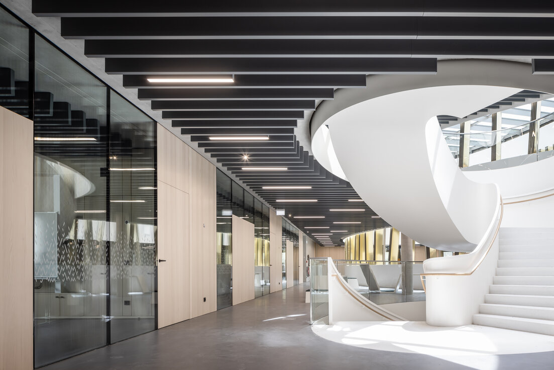 img_de_maria_ward_5_1 img_de_maria_ward_5_1