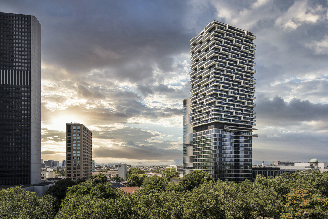 img_de_trex_3 img_de_trex_3