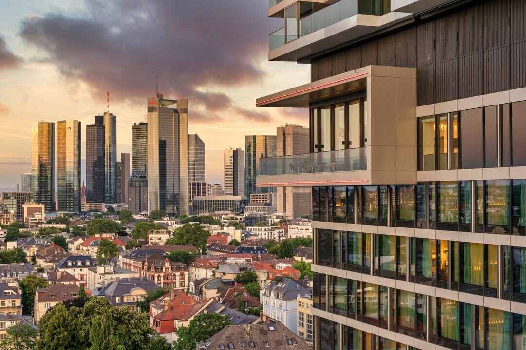 img_de_trex_4 img_de_trex_4