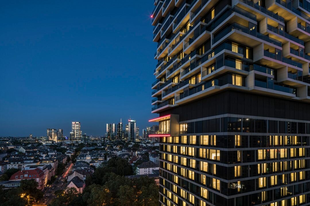 img_de_trex_5 img_de_trex_5