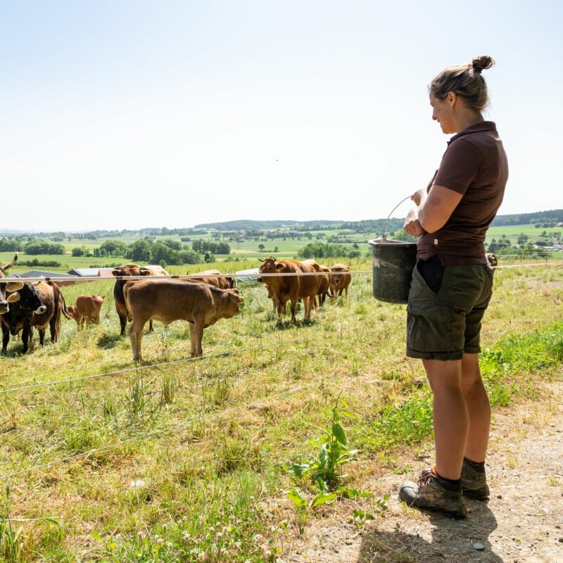 img-de-landwirtschaft-landluft img-de-landwirtschaft-landluft
