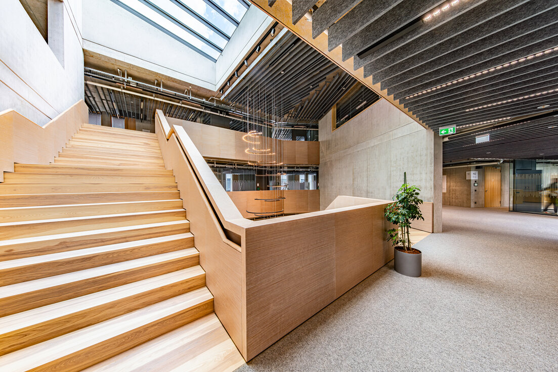 © © Fotostudio Sienz Weitläufiger Holztreppenaufgang im DACHSER Network Campus mit MUTE+® Akustikbaffeln, moderner Pendelleuchte und hellem Lichthof | © © Fotostudio Sienz