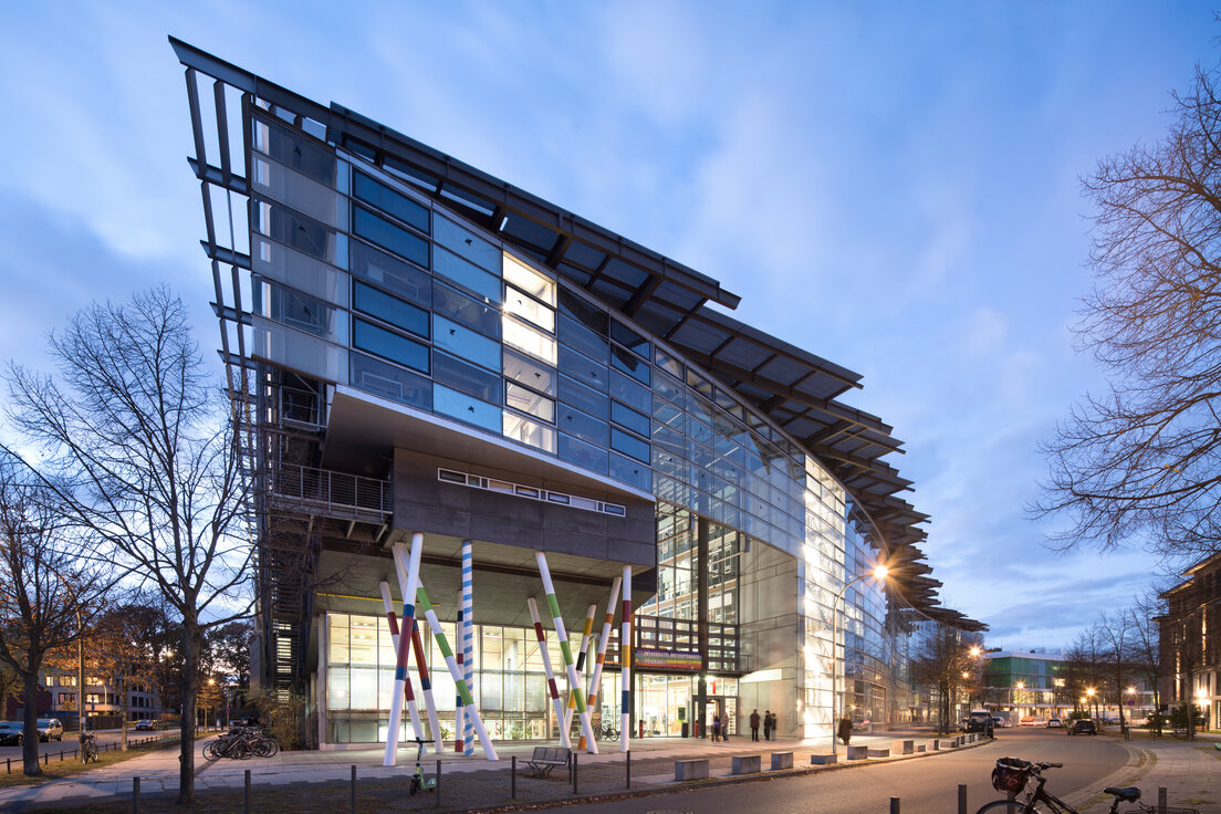 © © Friedemann Steinhausen © © Friedemann Steinhausen