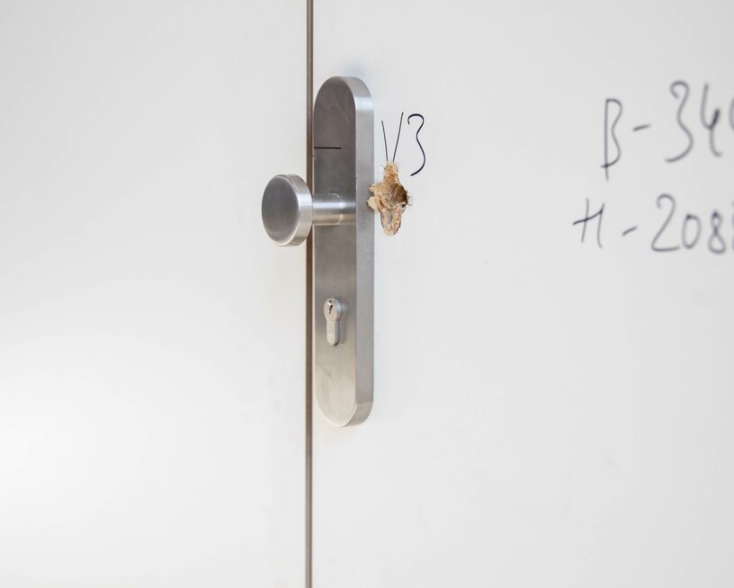 Ein Türknauf nach einem Einbruchversuch mit Schraubenzieher. Ein Türknauf nach einem Einbruchversuch mit Schraubenzieher.